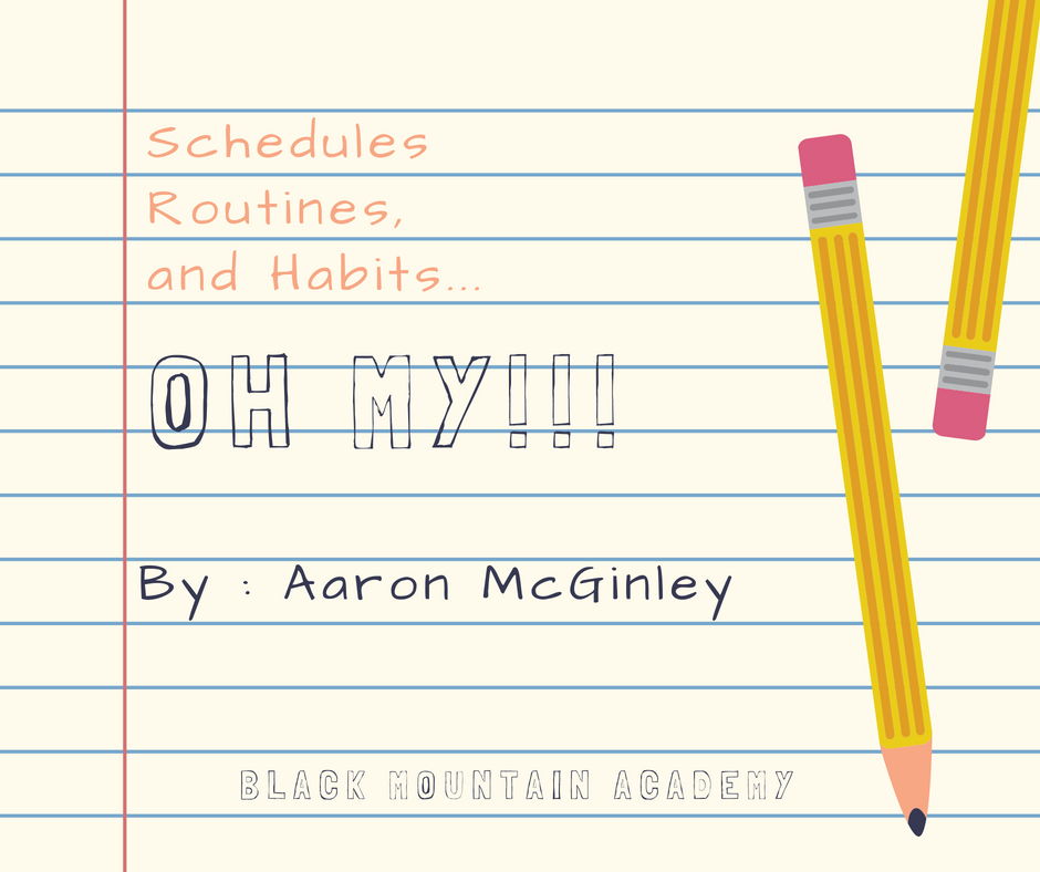 Schedules, Routines, and Habits…OH MY!