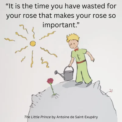 Little Prince Blog Post